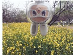 -西北湖绿化广场