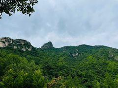 -云岫谷游猎自然风景区