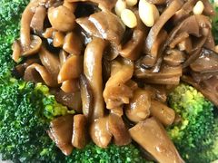 烩九菇-五观堂素食(新华路店)