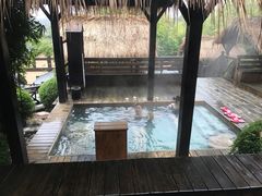 -崇阳三特浪口温泉