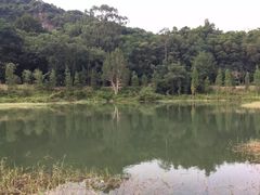 -大雁山风景区