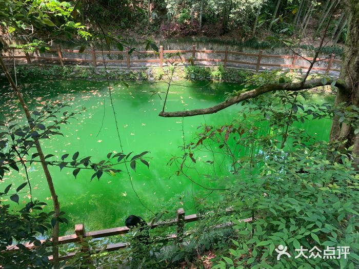 十八棵（老龙井）御茶园(老龙井店)图片
