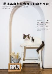 -ZOO KIDS象集摄影工作室(西城公馆店)