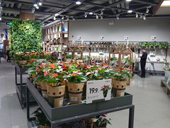 -鹿岛会员店 (龙湖三千集天街店)