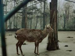 -武陵山森林公园