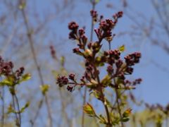 -好利来(新华百货店)