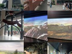 -四川大学博物馆
