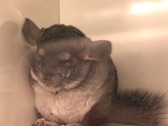 -龙猫仔乐园(惠福东路店)