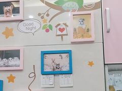 -北京观赏动物医院·24小时大型综合·猫专科·异宠专科