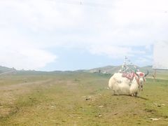 iphone_upload_pic-日月山景区