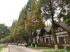 -太阳岛度假酒店