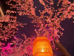 -荷塘秋月·本帮江浙菜(国权路店)