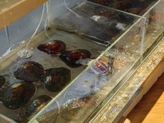 -十八字金·银饰·开蚌DIY·手工体验团建(富力广场店)