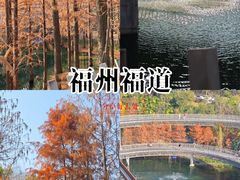 -福道