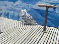 -成都浩海立方海洋公园