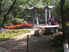 -高尔山公园