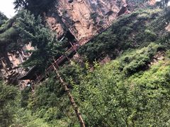 -芦芽山旅游度假区
