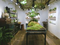 -植觉