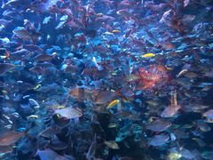 -成都浩海立方海洋公园