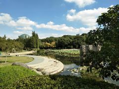 -昆山城市公园