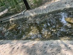 -草根堂农场