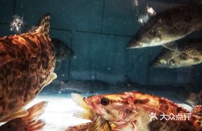 Wild Yongjiang River Fish