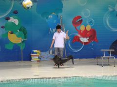 -西安秦岭野生动物园