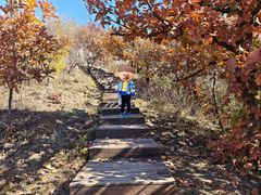 -北京十三陵国家森林公园蟒山景区