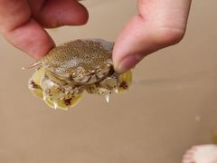 -亚龙湾8号(丁村万人海鲜广场店)