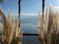 -六阅·福十 FORTEN 海景咖啡西餐厅(双廊古镇店)