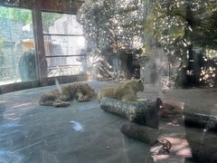 -南昌动物园