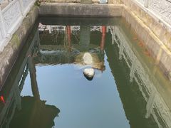 -长沙黑麋峰国家森林公园