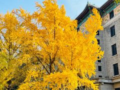 -北京友谊宾馆·俄罗斯餐厅