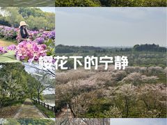 -凤凰沟景区