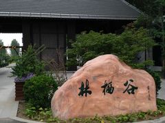 -林栖谷森林康养度假区