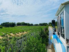 -渔岛海洋度假区