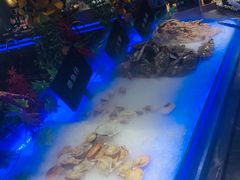 -韩京炭火烤肉自助料理(柯桥万达店)