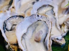 -海口绿发希尔顿酒店-田园汇自助餐·三文鱼·海鲜