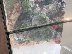 -缘福乡村铁锅炖民宿(八达岭店)