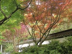 -杭州植物园
