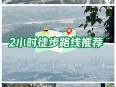 -滴水岩森林公园