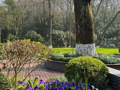 -杭州花家山庄