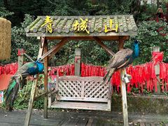 -青城山