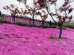 -石塘人家