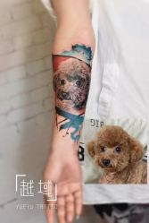 点击看大图 -越域刺青