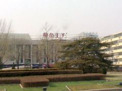 鲍鱼-鲍鱼王子(深圳大厦店)