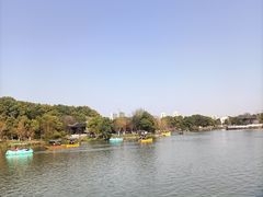 -八大山人梅湖景区