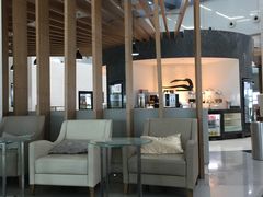 -虹桥机场国航贵宾室v8