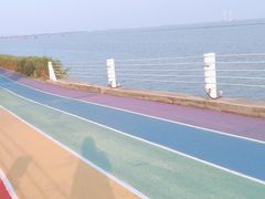 -贡湖湾湿地公园