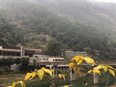 -雪玉洞景区